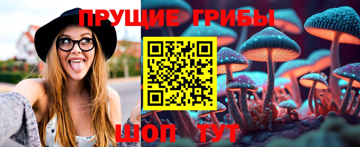 Псилоцибиновые грибы Cubensis Краснодар