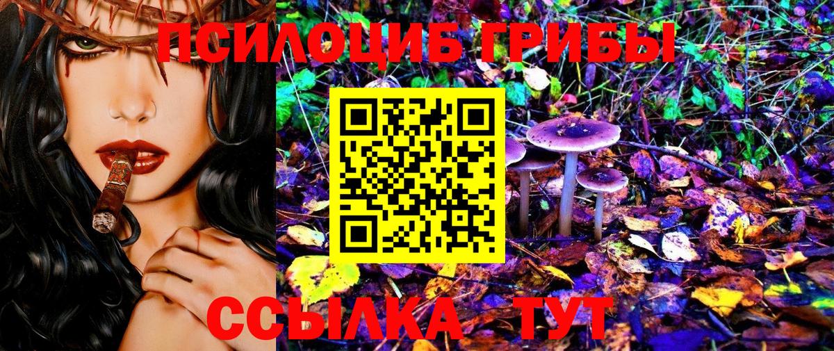 Краснодар  как найти закладки  Галлюциногенные грибы MAGIC MUSHROOMS  Вход с VPN  Галлюциногенные грибы GOLDEN TEACHER 